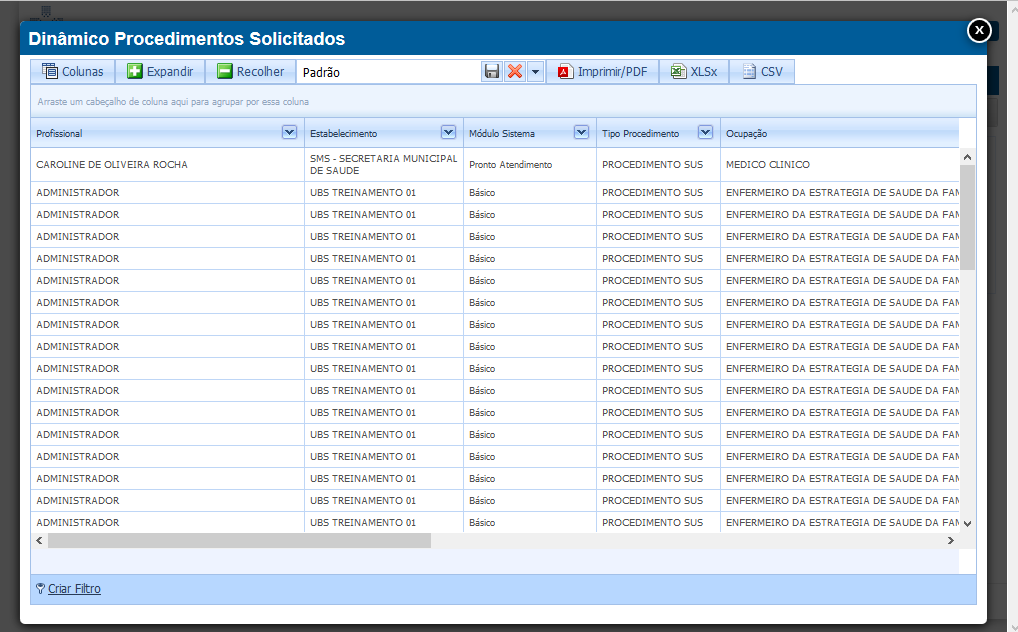 Imagem Demonstrativa do Dinâmico de Procedimentos Solicitados